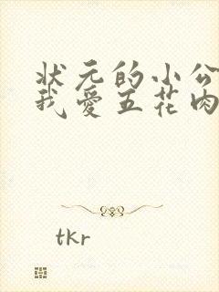 状元的小公主(我爱五花肉)