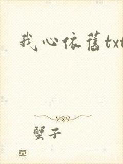 我心依旧txt