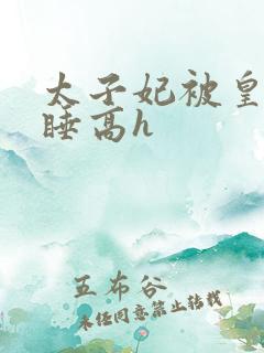 太子妃被皇上强睡高h