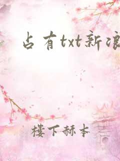 占有txt新浪