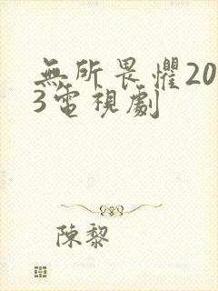 无所畏惧2023电视剧