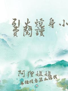 引火烧身小说免费阅读