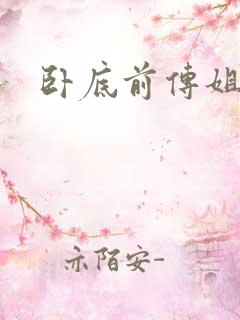 卧底前传姐妹篇