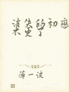 消失的初恋为啥不更了