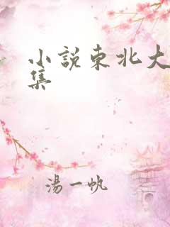 小说东北大炕全集