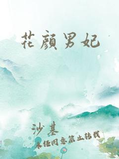 花颜男妃