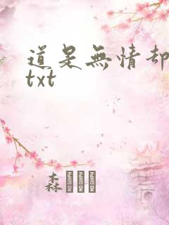 道是无情却有情txt