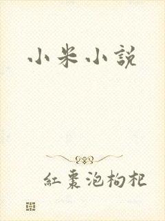 小米小说