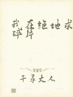 我在绝地求生捡碎片