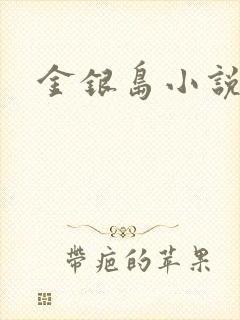 金银岛小说