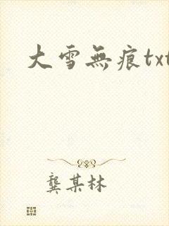 大雪无痕txt