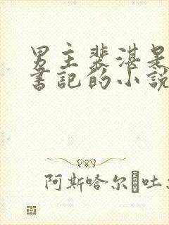 男主裴湛是省委书记的小说