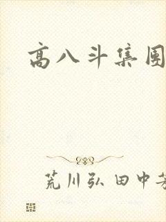 高八斗集团