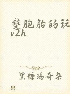 双胞胎的玩具1v2h