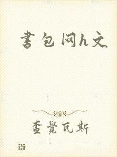 书包网h文