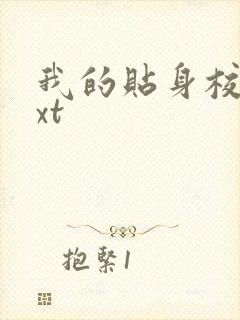 我的贴身校花txt