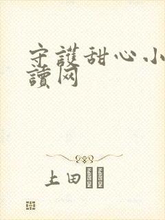 守护甜心小说阅读网