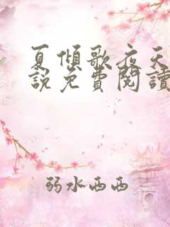 夏倾歌夜天承小说免费阅读