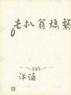 老扒翁熄系列40