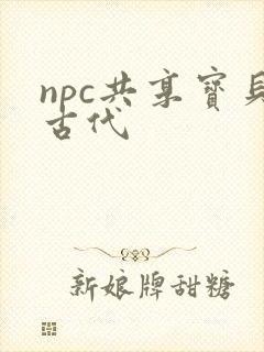 npc共享宝贝古代