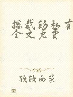 总裁的私有宝贝全文免费