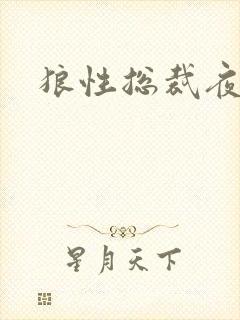 狼性总裁夜欢宠