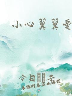 小心翼翼爱上你