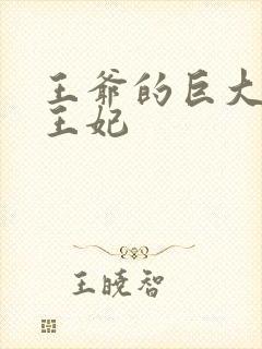 王爷的巨大进入王妃