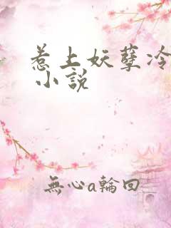 惹上妖孽冷殿下 小说