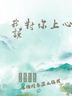 我对你上心了小说