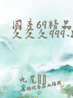 国产69精品久久久久999小说