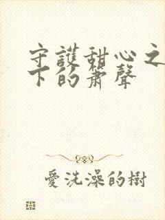 守护甜心之月光下的箫声