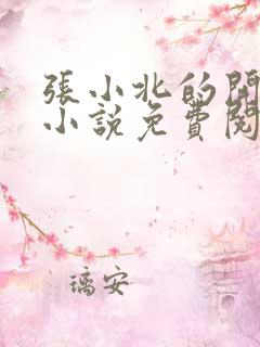 张小北的开光师小说免费阅读怎么没有276章