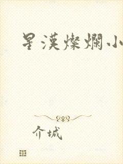 星汉灿烂小说