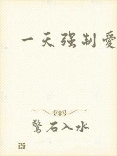 一天强制爱