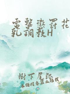 电击惩罚花蒂榨乳调教H