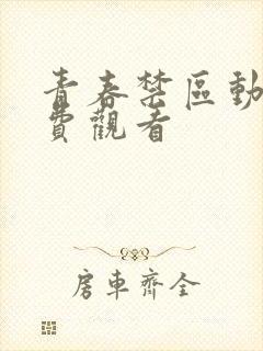 青春禁区动漫免费观看