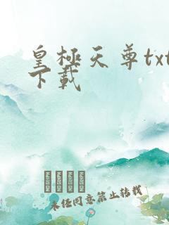 皇极天尊txt下载