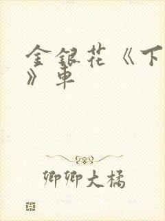 金银花《下厨房》车