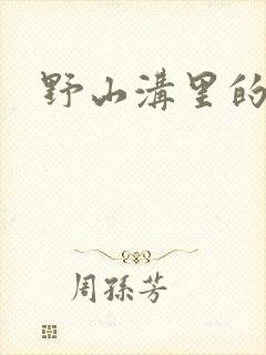 野山沟里的村庄