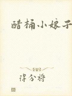 醋桶小娘子