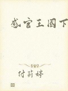 感官王国下载