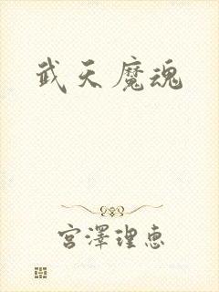 武天魔魂