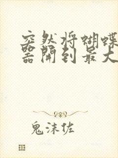 突然将蝴蝶遥控器开到最大