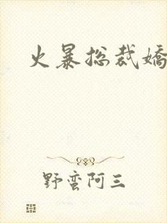 火暴总裁娇柔妻