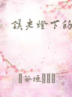 镁光灯下的孕夫