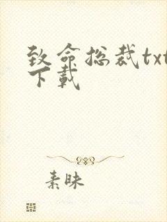 致命总裁txt下载