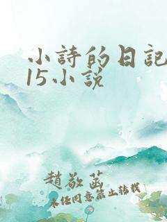 小诗的日记1一15小说