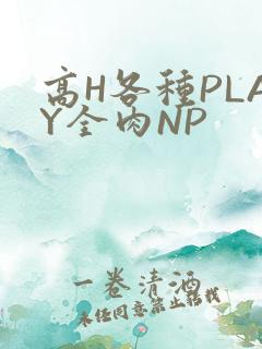 高H各种PLAY全肉NP