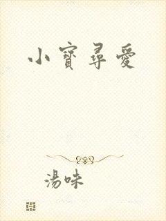 小宝寻爱